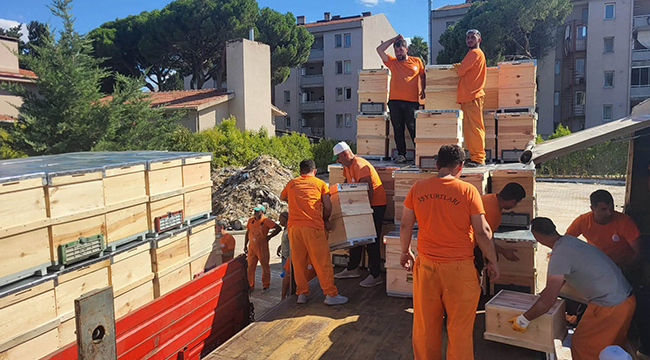 Çanakkale’de Yangından Etkilenen Arıcılara 2 Bin Kovan Desteği içerik görseli