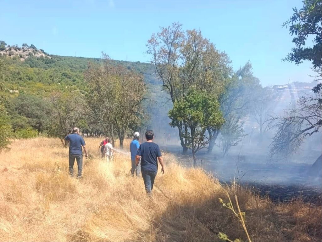 784962659 1667743698571650 1427688299308933137 n
