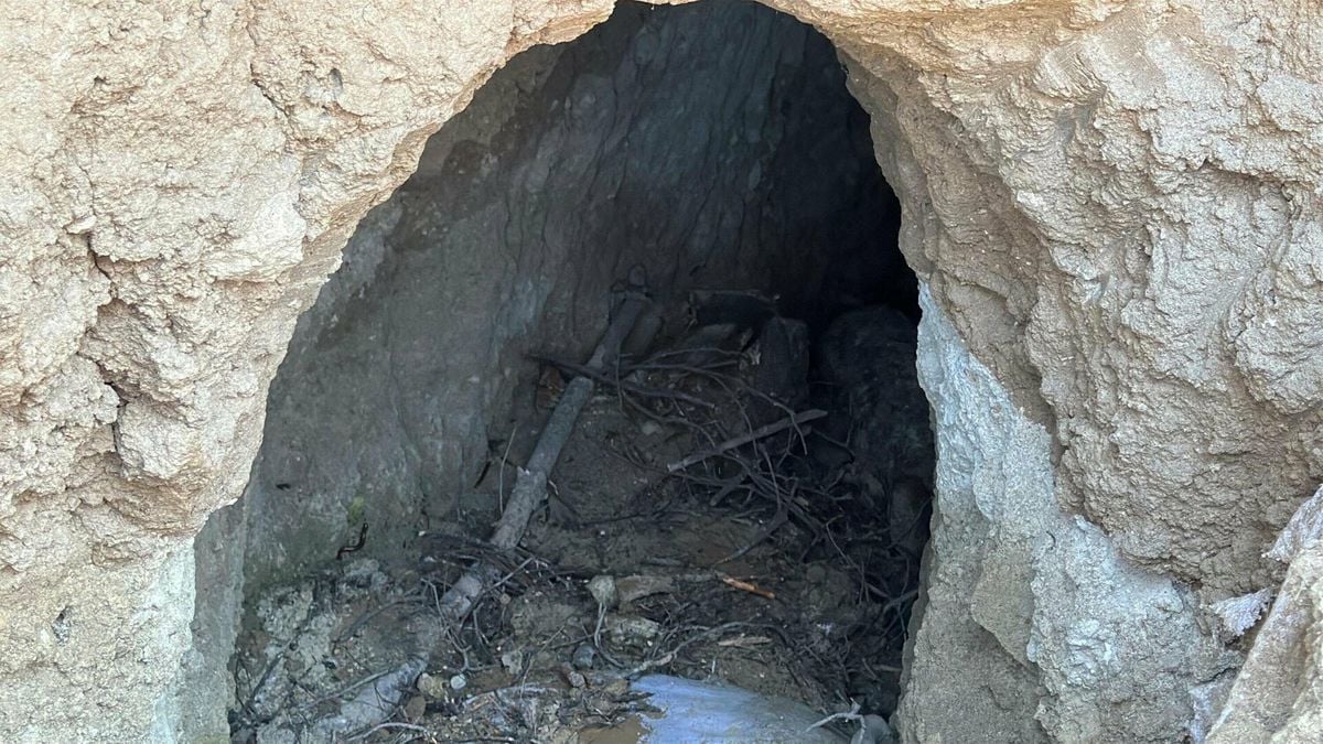 Çanakkale’de Yangın Sonrası Ortaya Çıkan Tümülüste Arkeolojik Kazı Yapılacak içerik görseli