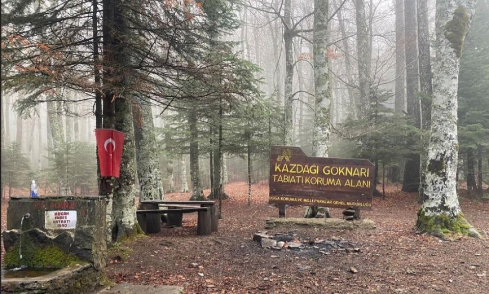 Kazdağı Göknarı Tabiatı Koruma Alanı: Konum ve Ziyaret Kuralları