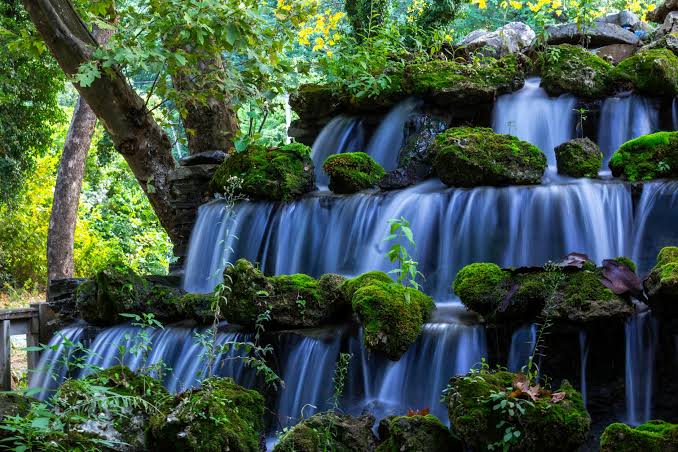 Kazdağları Yenice Ormanları: Doğa ve Gezi Rehberi