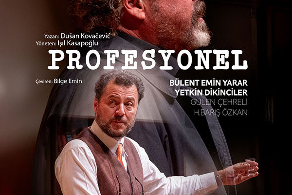 Profesyonel